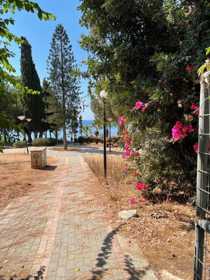 Samson Sea Breeze, 3Bed Sleeps 6, Free Wifi Limassol Exterior foto